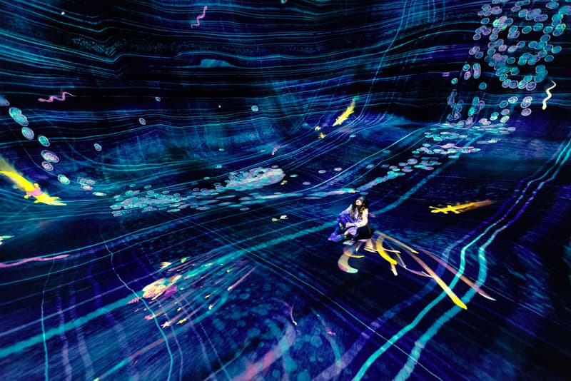 teamLab Phenomena Abu Dhabi Full Info Date and Location