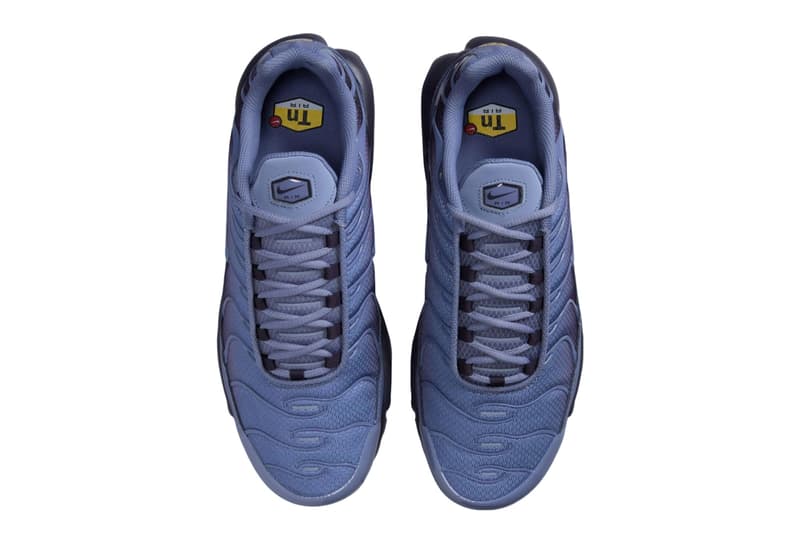 Nike Air Max Plus "World Indigo" World Indigo/Cave Purple-Black DM0032-404 spring 2025