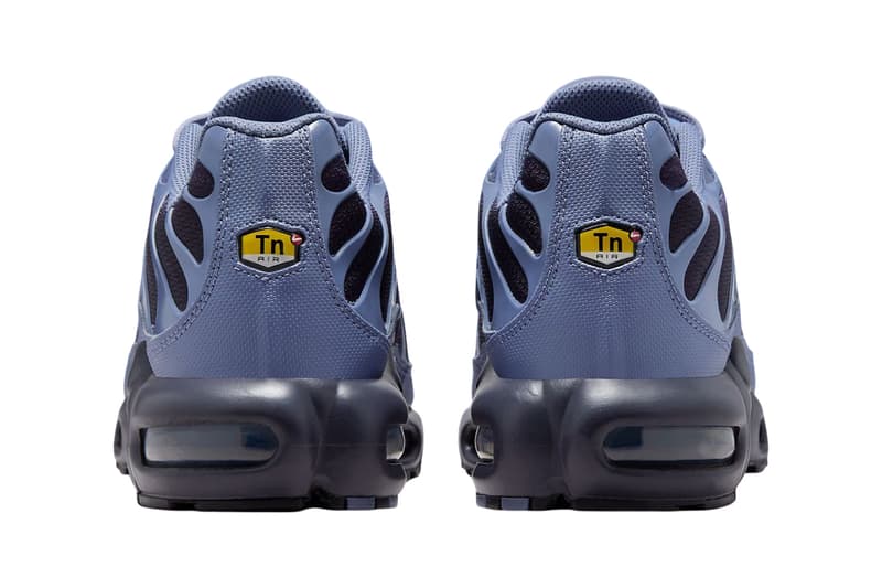 Nike Air Max Plus "World Indigo" World Indigo/Cave Purple-Black DM0032-404 spring 2025