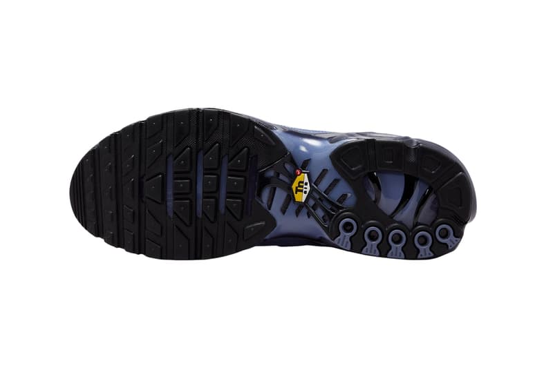 Nike Air Max Plus "World Indigo" World Indigo/Cave Purple-Black DM0032-404 spring 2025