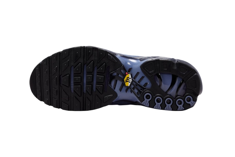 Nike Air Max Plus "World Indigo" World Indigo/Cave Purple-Black DM0032-404 spring 2025