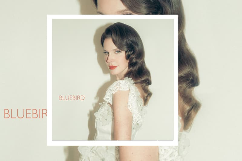 Lana Del Rey Continues Album Rollout With "Bluebird" single album henry come on drop stream