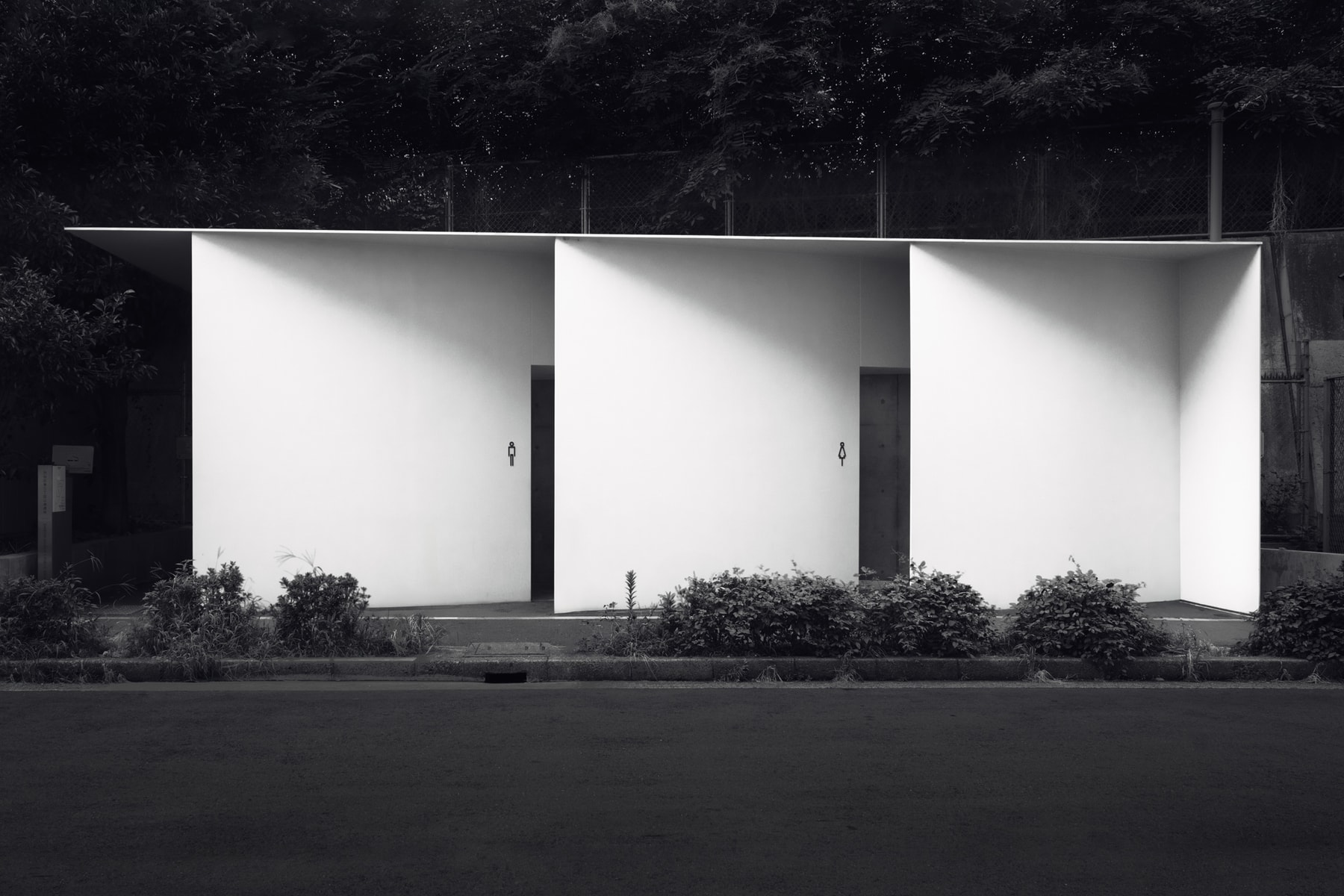 Sony Announces Winners for 2025 World Photography Awards Art Artworks