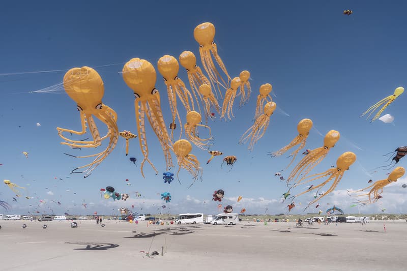 Sony Announces Winners for 2025 World Photography Awards Art Artworks