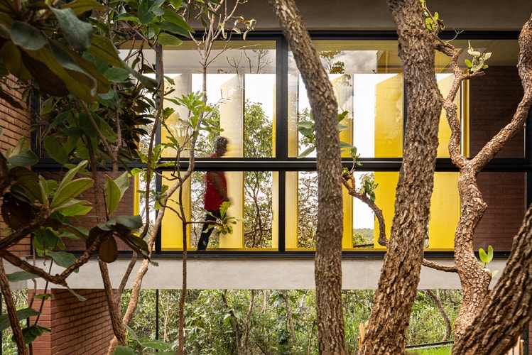 The House of 7 Trees by Hersen Mendes Arquitetura Is a Modern Gem in the Brazilian Cerrado