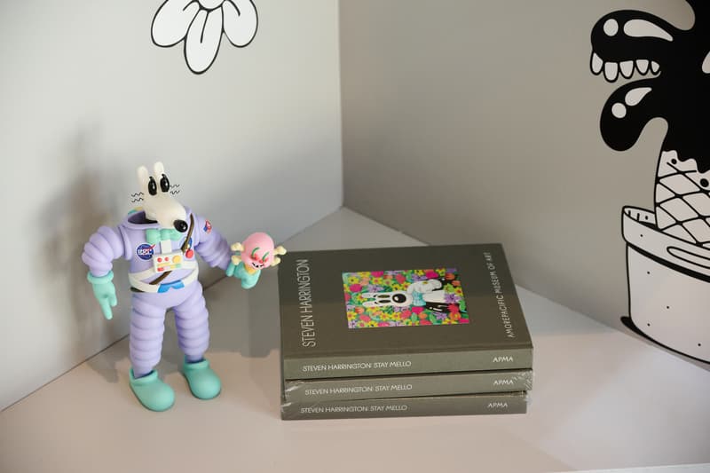 Steven Harrington Frieze New York 2025 Interview Stop to Smell the Flowers Art Artworks