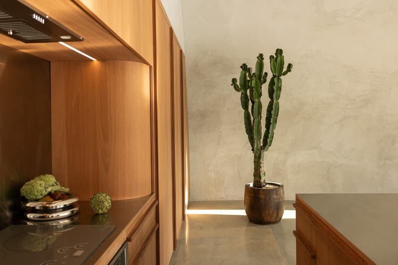 HATA Dome House Anastasiya Dudik Architecture Info