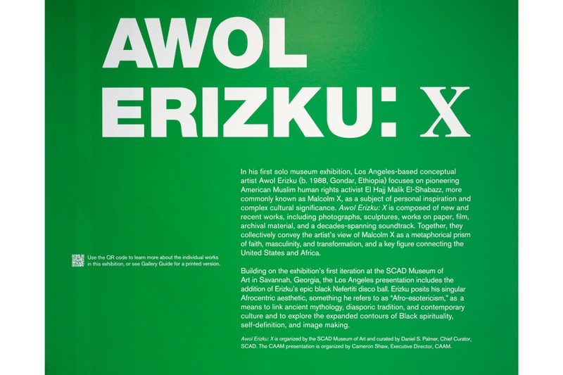 awol erizku caam california african american museum exhibition malcolm x history painting sculpture artworks