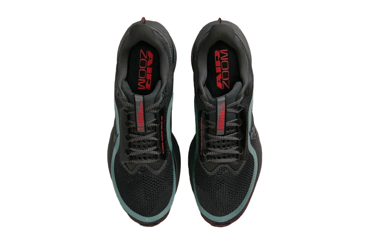 Nike Pegasus Premium Anthracite Release Info