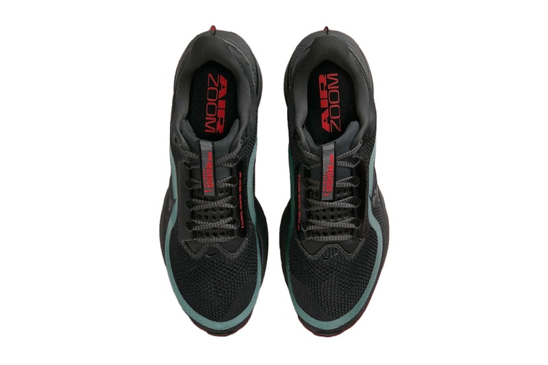 Nike Pegasus Premium Anthracite Release Info