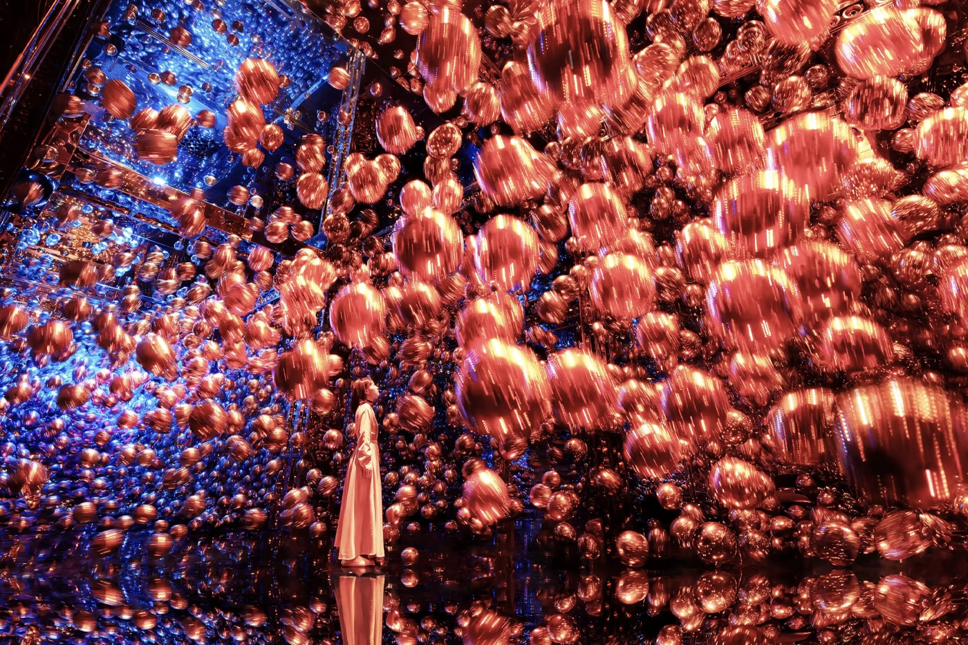 teamLab Biovortex Kyoto Fall 2025 Opening Info "Massless Amorphous Sculpture" "Massless Suns and Dark Suns" "Morphing Continuum" "Traces of Life"