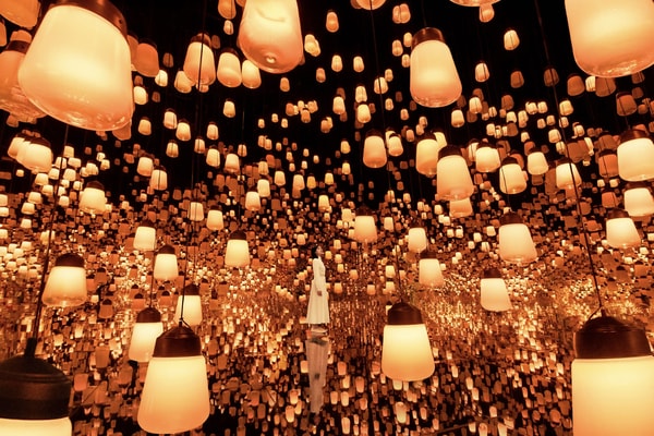 teamLab Biovortex Kyoto Fall 2025 Opening Info "Massless Amorphous Sculpture" "Massless Suns and Dark Suns" "Morphing Continuum" "Traces of Life"