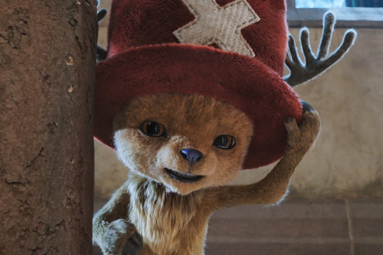 Netflix’s ‘One Piece’ Season 2 Teases First Live-Action Look at Tony Tony Chopper