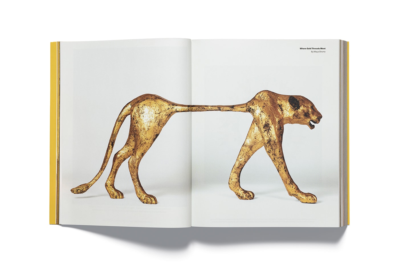 A Decade of Reflection: Acne Paper Unveils Issue 20 swedish brand acne studios fashion magazine edition golden retrospective reflection