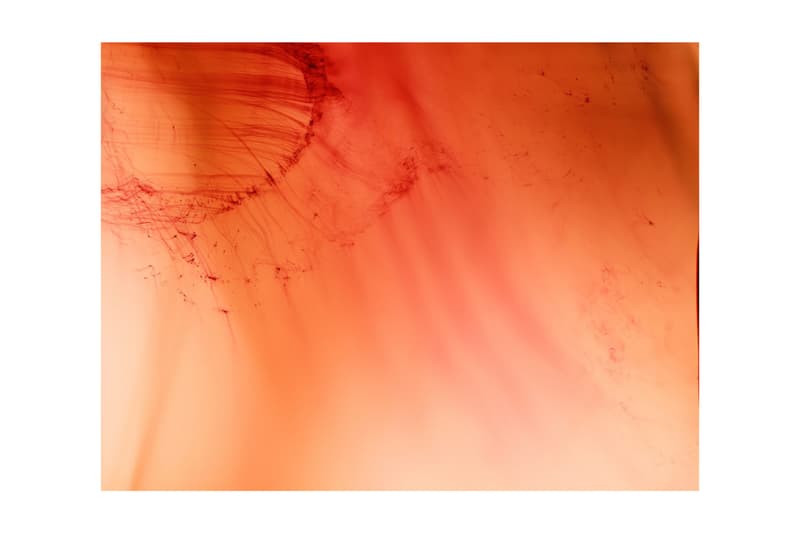 Wolfgang Tillmans Retrospective Centre Pompidou Paris art artworks