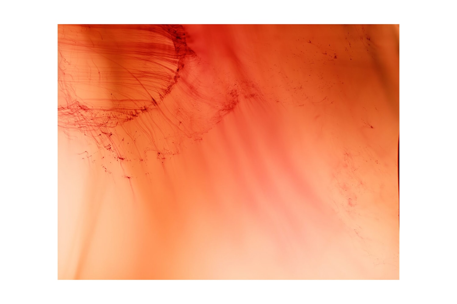 Wolfgang Tillmans Retrospective Centre Pompidou Paris art artworks