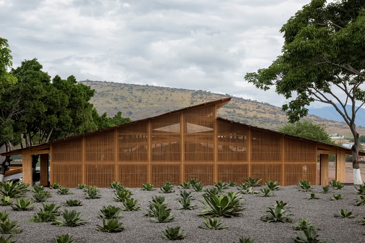 Estudio Ala Reimagines Industrial Spaces With a Thoughtful Mezcal Distillery Design