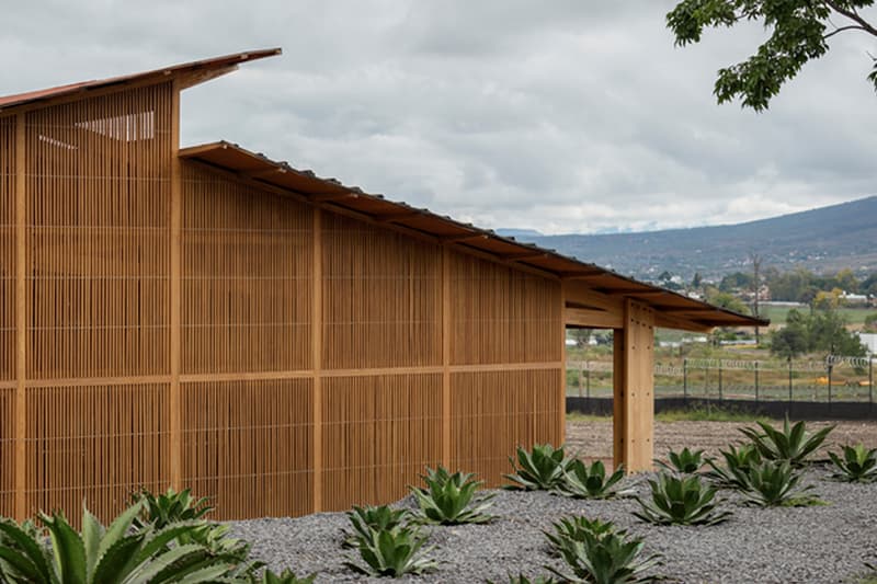 Estudio ALA Mezcal Distillery Agave Fields Michoacan architecture design