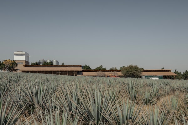 Estudio ALA Mezcal Distillery Agave Fields Michoacan architecture design