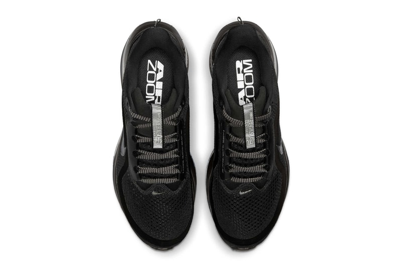 Nike Pegasus Premium Surfaces in "Black/Metallic Silver" HQ2592-005 air zoomx reactx foam 