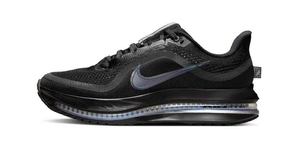 Nike Pegasus Premium Surfaces in  display picture 1