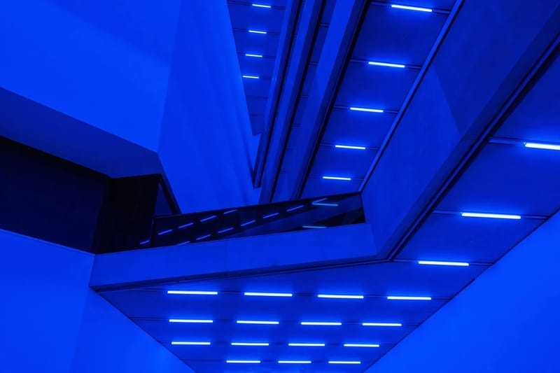 Steve McQueen's 'Bass' Strips Down Cinema and Lays Its Bones Bare