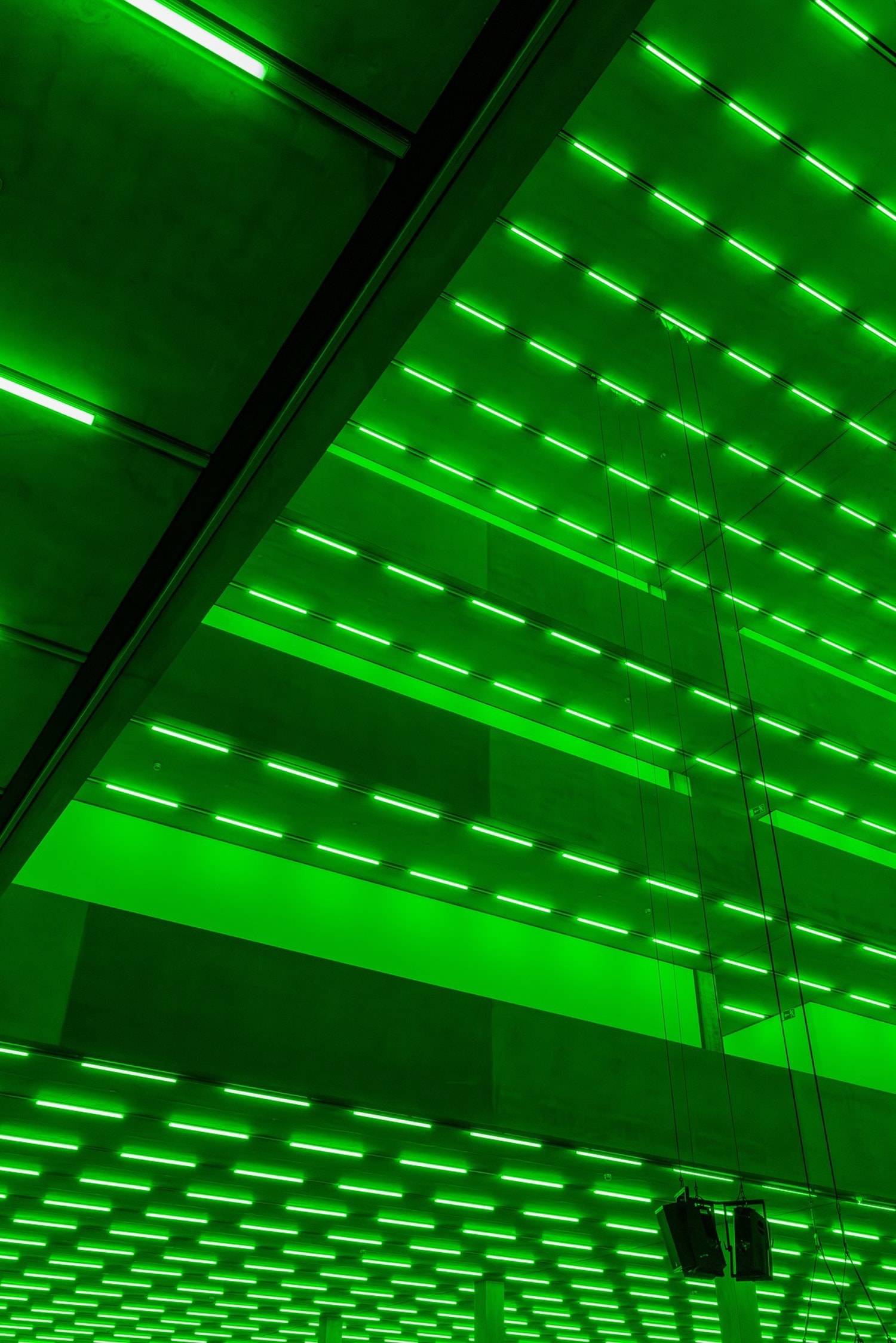 Steve McQueen 'Bass' at Schaulager Basel
