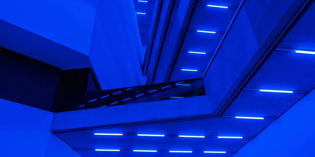 Steve McQueen's 'Bass' Strips Down Cinema and Lays Its Bones Bare