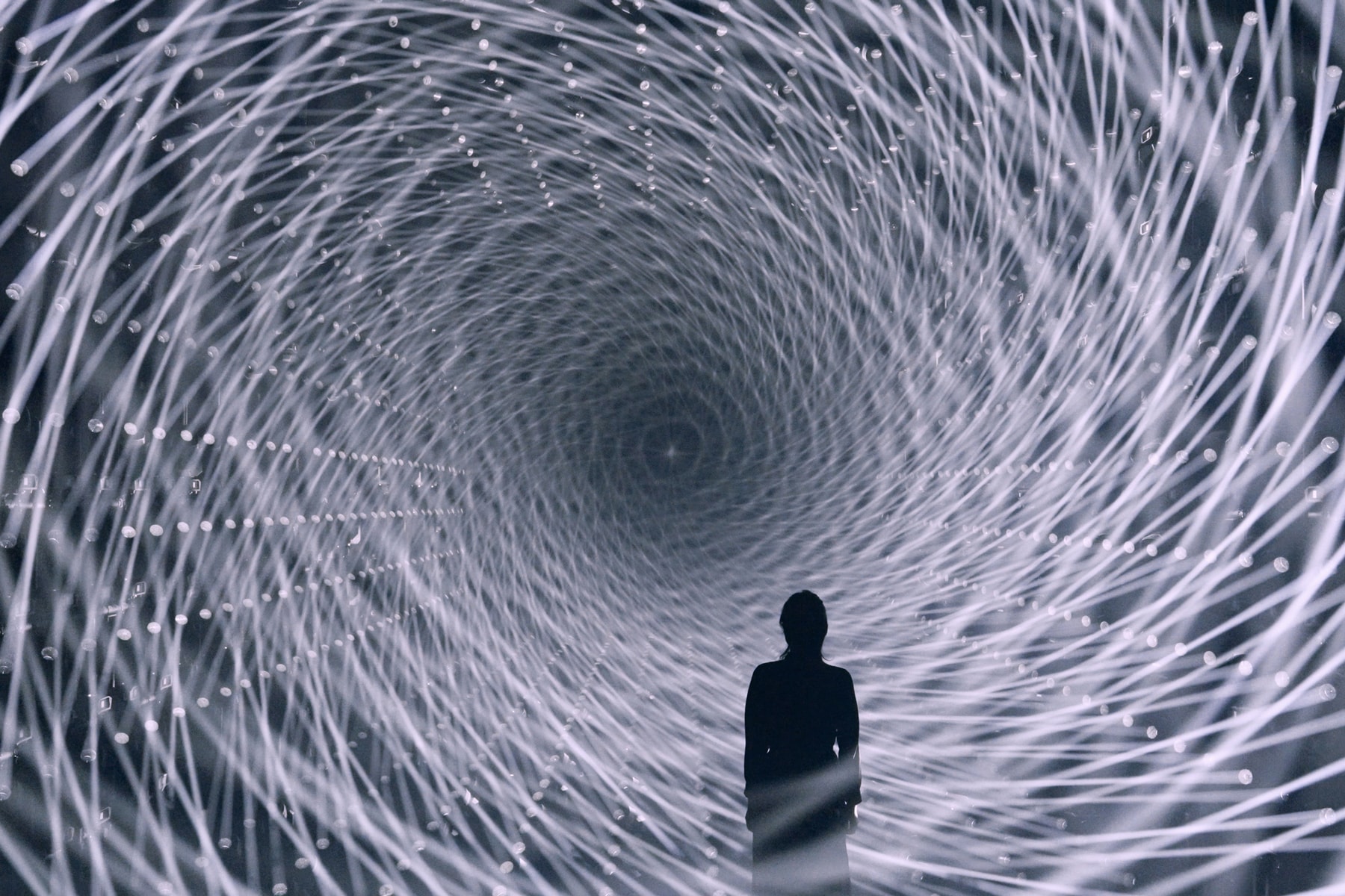 UBS Digital Art Museum Debuts with teamLab Borderless Hamburg art artworks hafencity