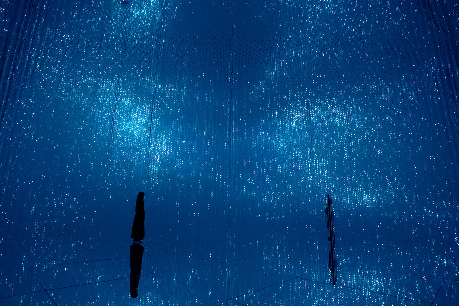 UBS Digital Art Museum Debuts with teamLab Borderless Hamburg art artworks hafencity