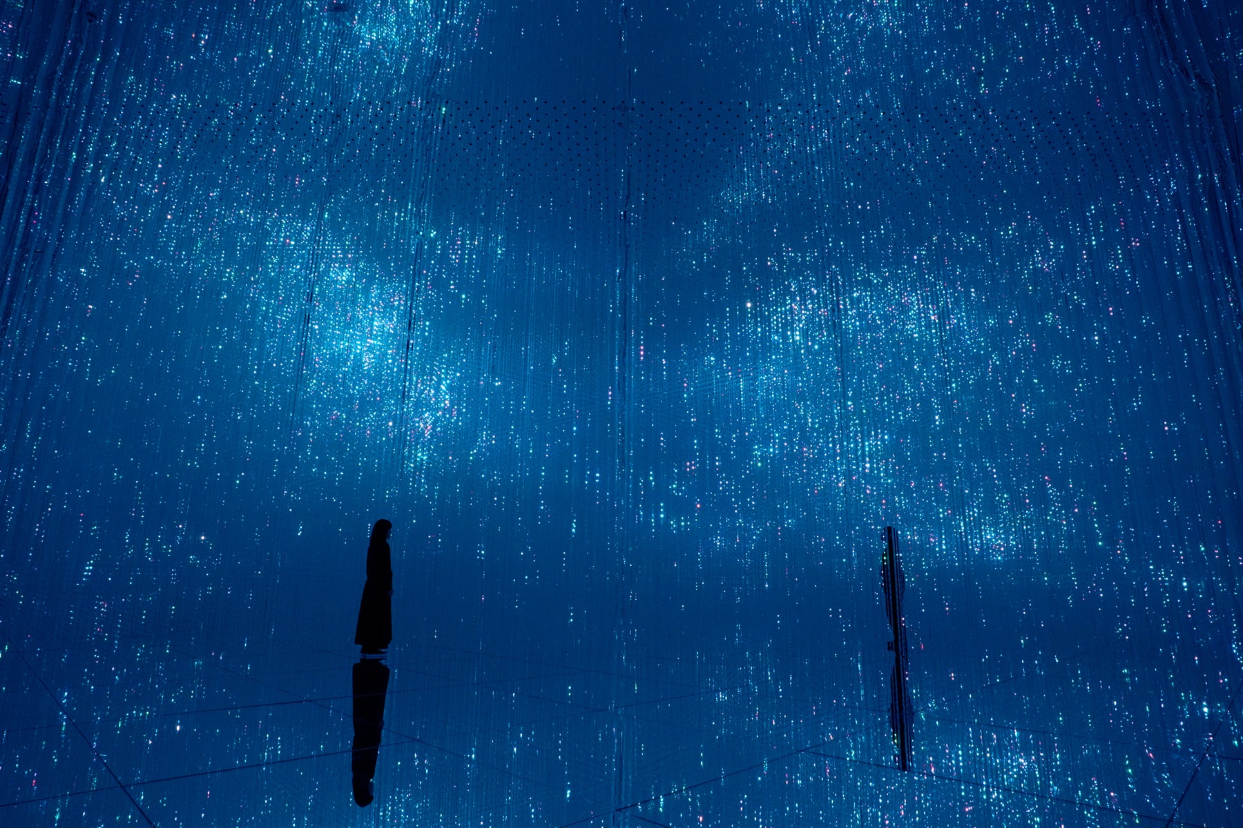 UBS Digital Art Museum Debuts with teamLab Borderless Hamburg art artworks hafencity