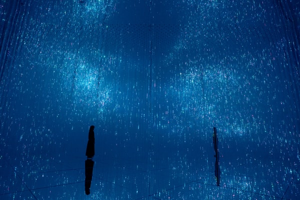UBS Digital Art Museum Debuts with teamLab Borderless Hamburg art artworks hafencity