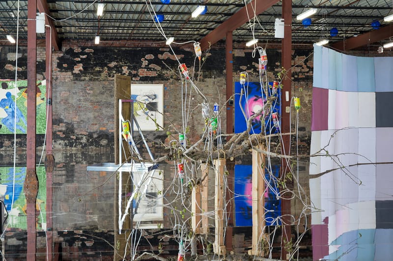 At Sky High Farm's New Biennial Show, Artists Rally Around Food Justice