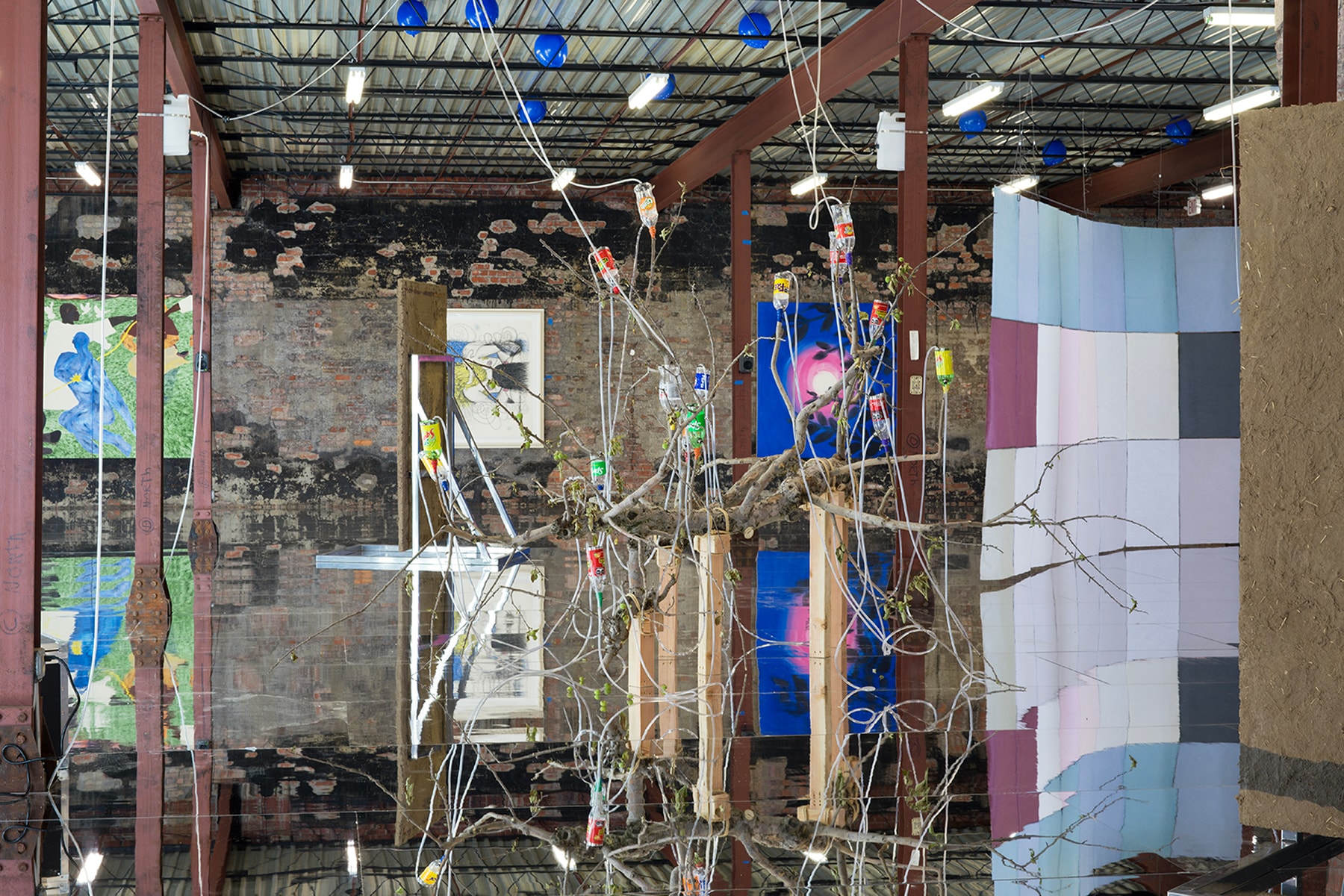 Sky High Farm Launches Inaugural Art Biennial Exhibition Germantown trees never end houses