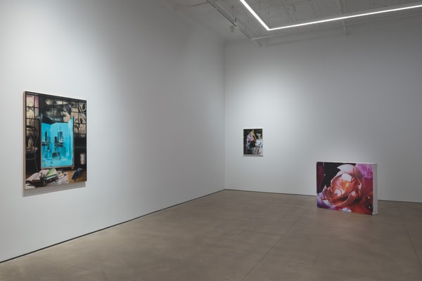 PPOW Gallery Lana Del Rey Group Exhibition New York eden deering art artworks