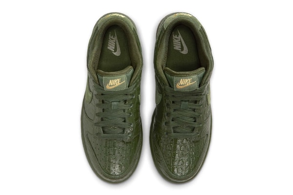 Nike Dunk Low Crocodile HV4388-300 Release Info