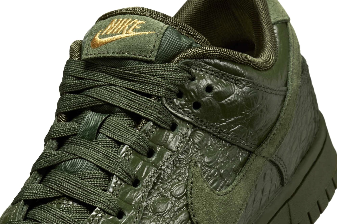 Nike Dunk Low Crocodile HV4388-300 Release Info
