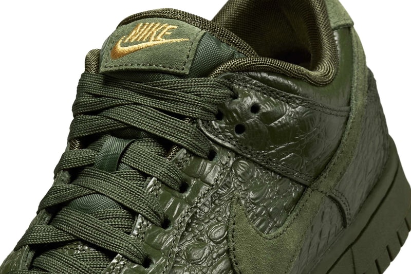 Nike Dunk Low Crocodile HV4388-300 Release Info