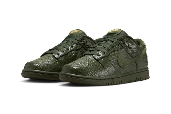 Nike Dunk Low Crocodile HV4388-300 Release Info