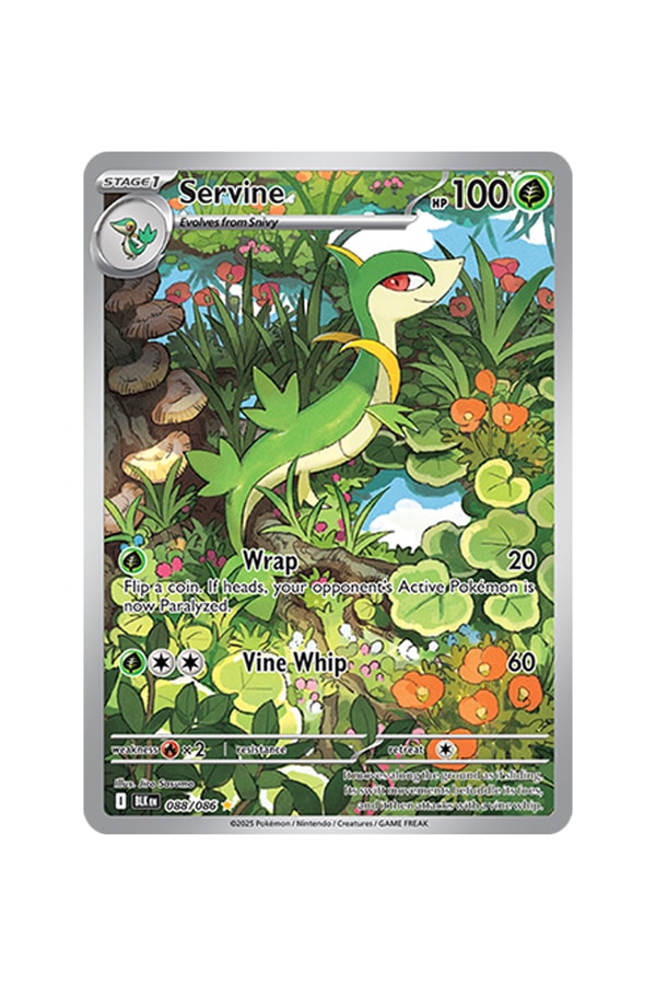Pokémon TCG: Black Bolt White Flare Rare Card List release date store info pictures