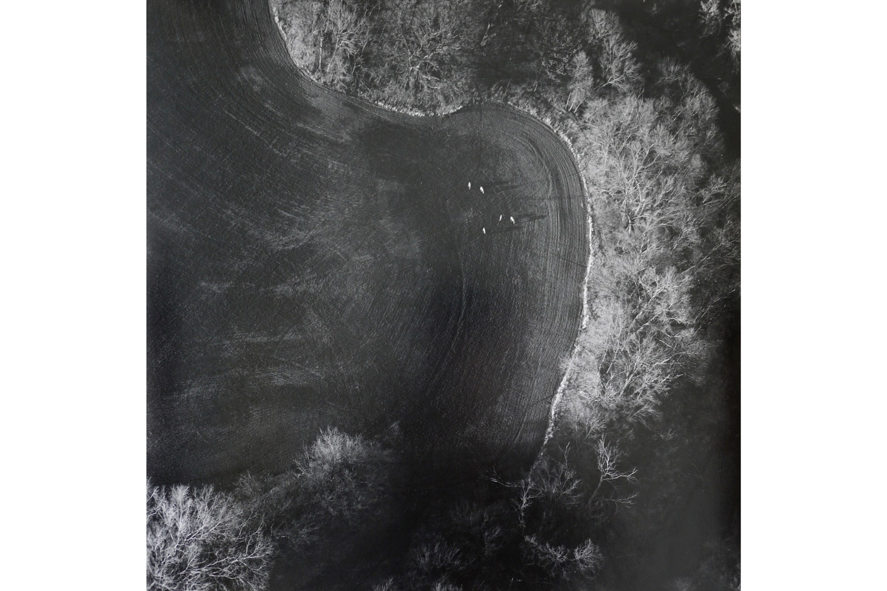 Yancey Richardson 30 Years Group Exhibition New York art artworks