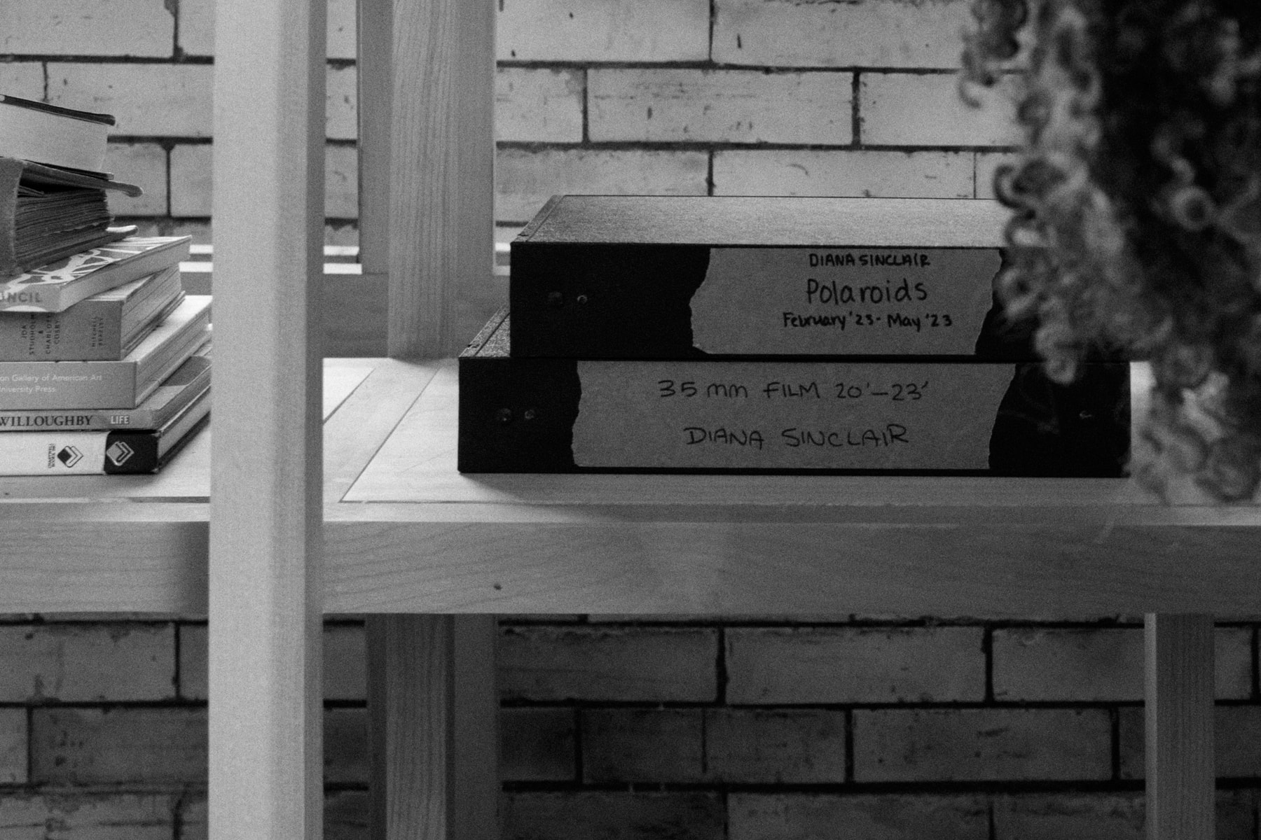 Hypeart Visits: Diana Sinclair plato gallery art artworks