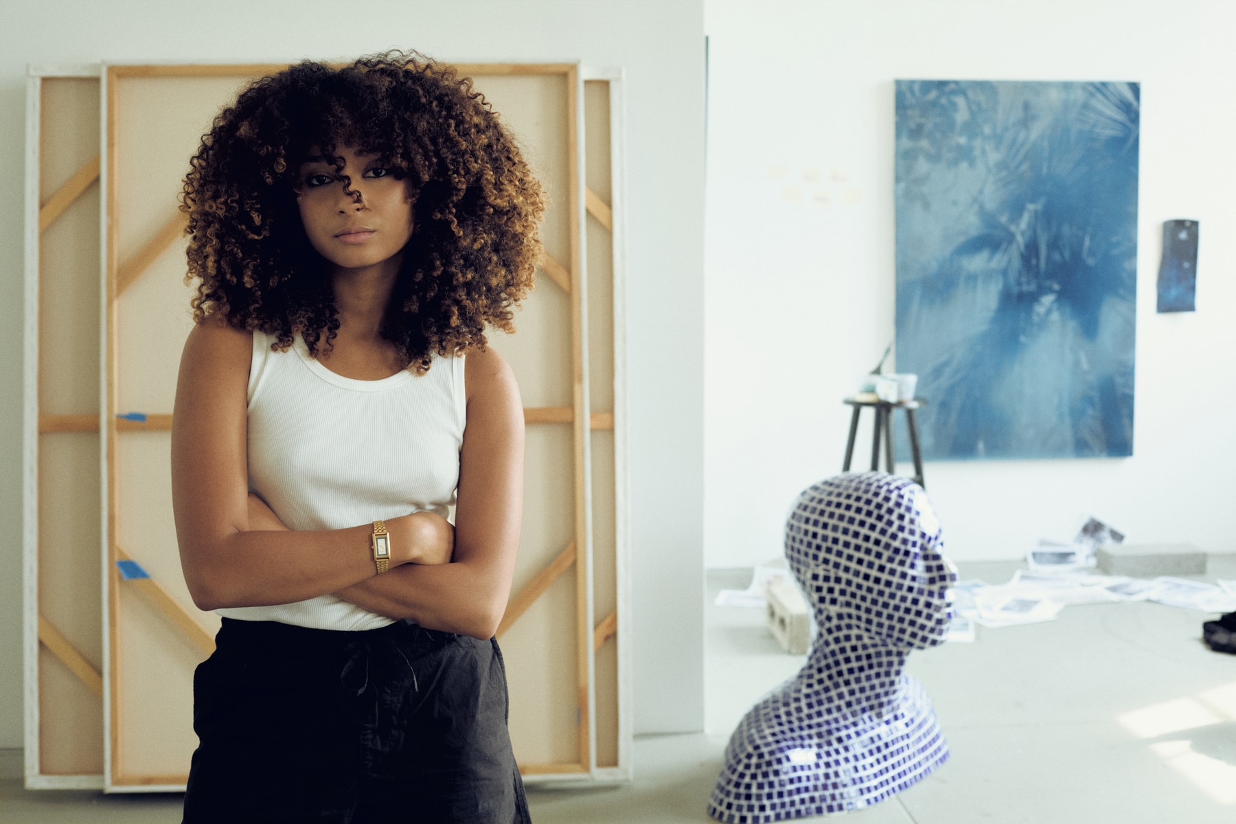 Hypeart Visits: Diana Sinclair plato gallery art artworks