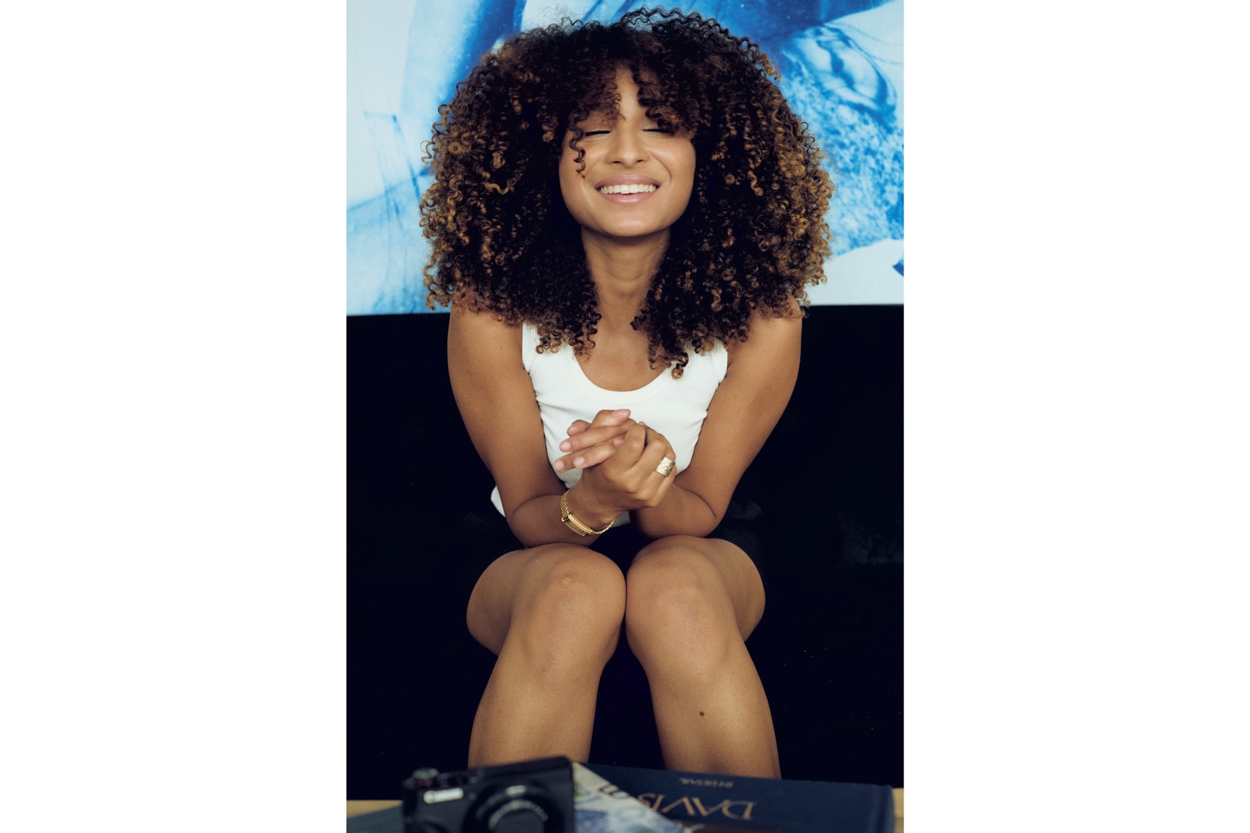 Hypeart Visits: Diana Sinclair plato gallery art artworks