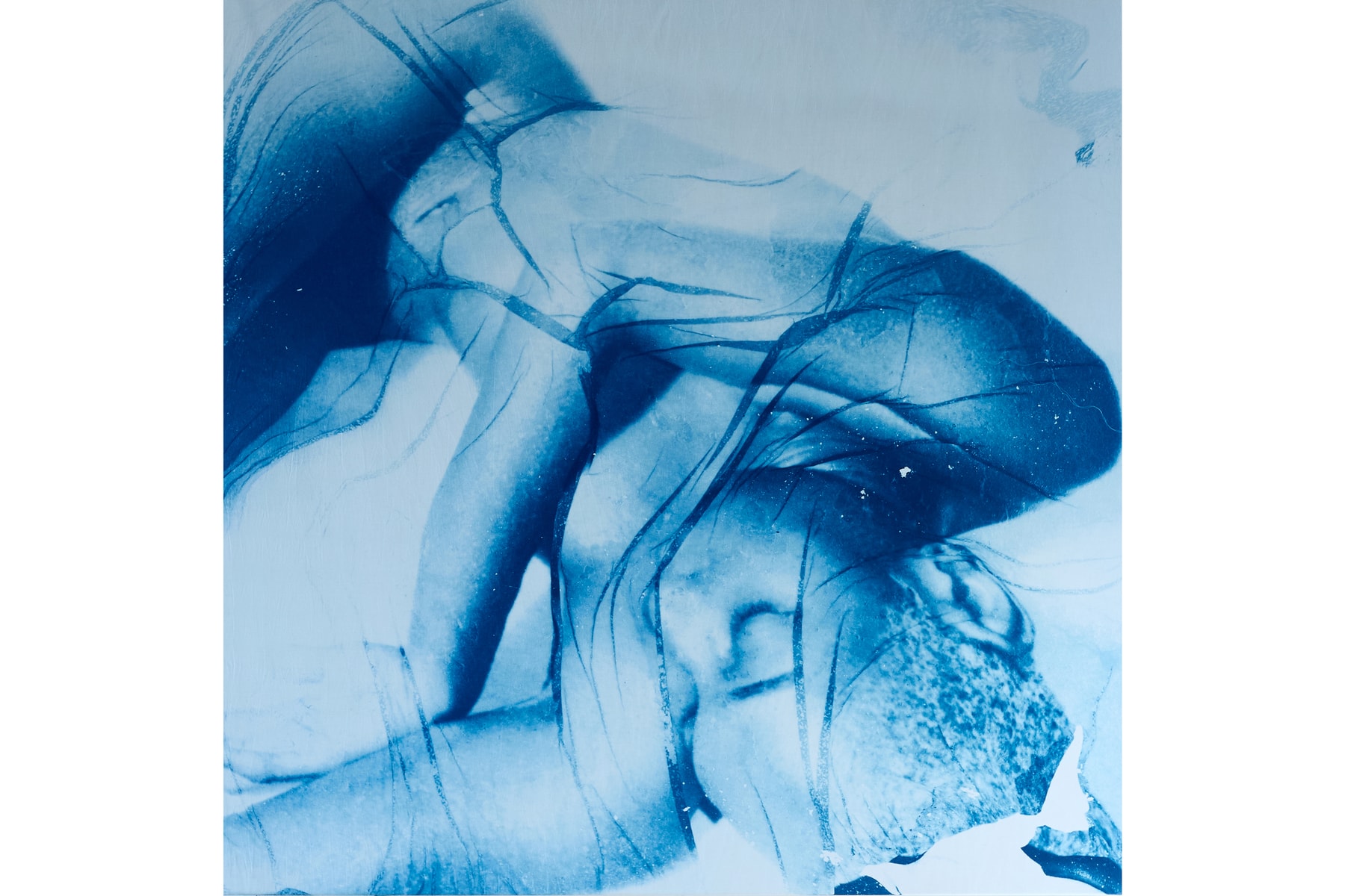 Hypeart Visits: Diana Sinclair plato gallery art artworks