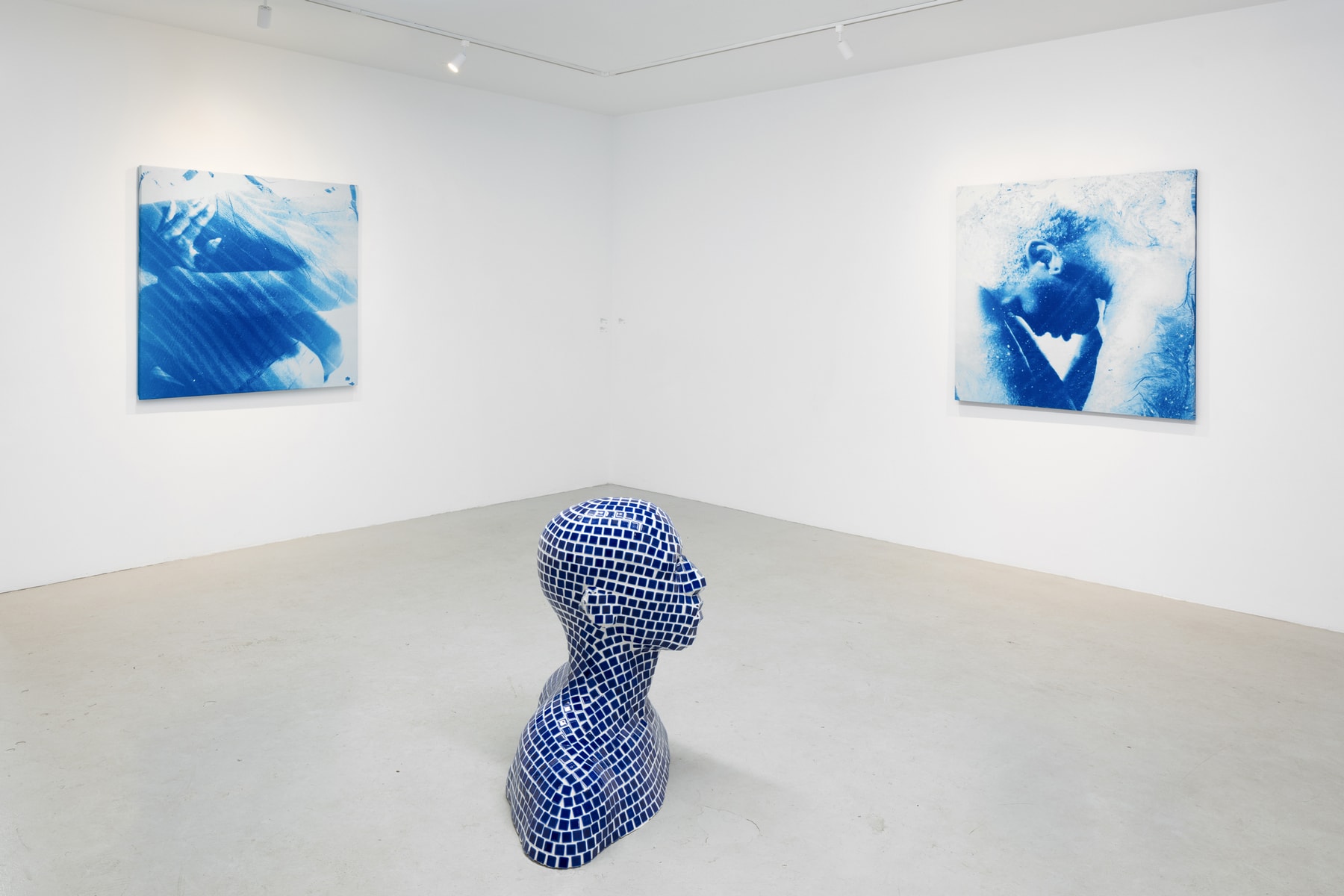 Hypeart Visits: Diana Sinclair plato gallery art artworks