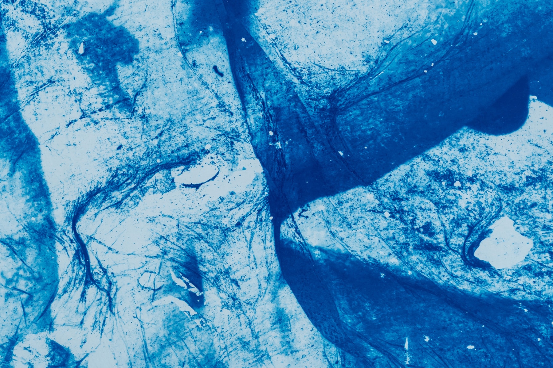 Hypeart Visits: Diana Sinclair plato gallery art artworks