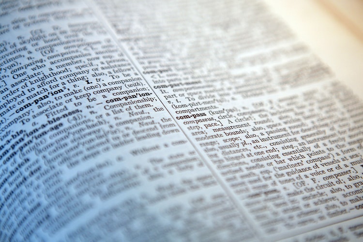 “Skibidi” and “Delulu” Are Officially in the Cambridge Dictionary