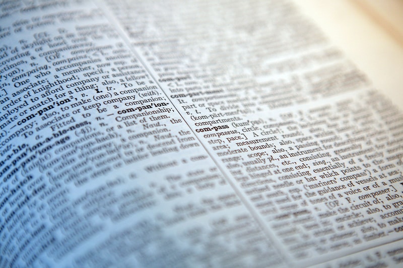 Skibidi and Delulu Are Officially in the Cambridge Dictionary