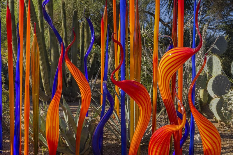 dale chihuly makers mark star hill farm bardstown kentucky installations artworks exhibitions contemporary art